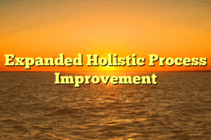 Expanded Holistic Process Improvement