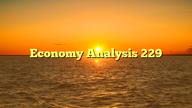 Economy Analysis 229