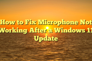 How to Fix Microphone Not Working After a Windows 11 Update