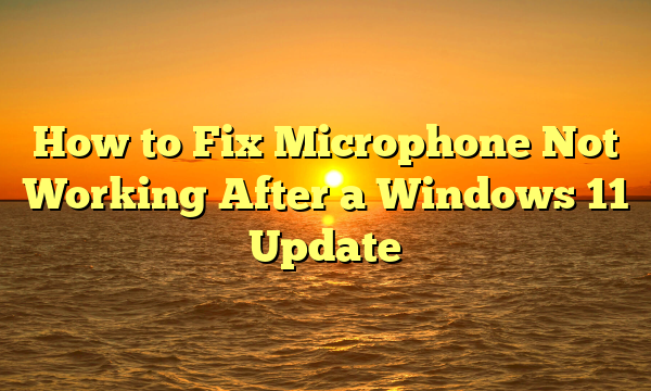 How to Fix Microphone Not Working After a Windows 11 Update