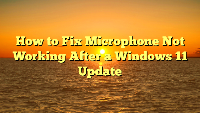 How to Fix Microphone Not Working After a Windows 11 Update